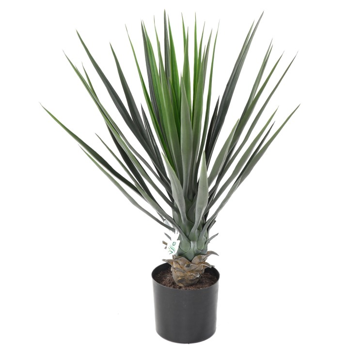 Künstliche Yucca, 60cm hoch, pflegeleicht und grün