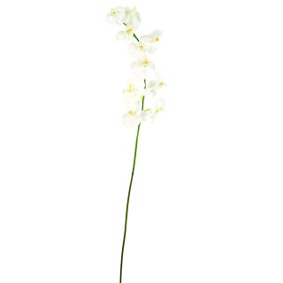 Künstliche Phalaenopsis, weiß, ca. 160cm hoch