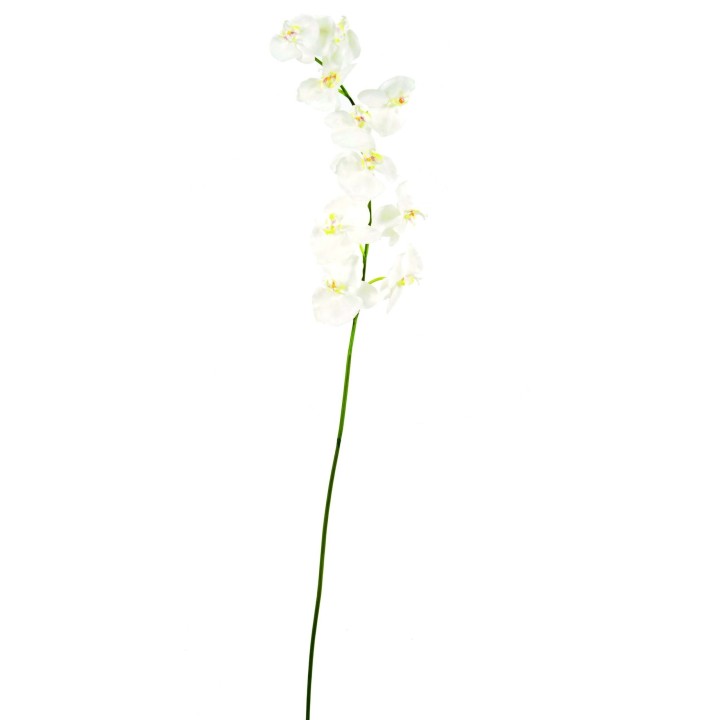 Künstliche Phalaenopsis, weiß, ca. 160cm hoch