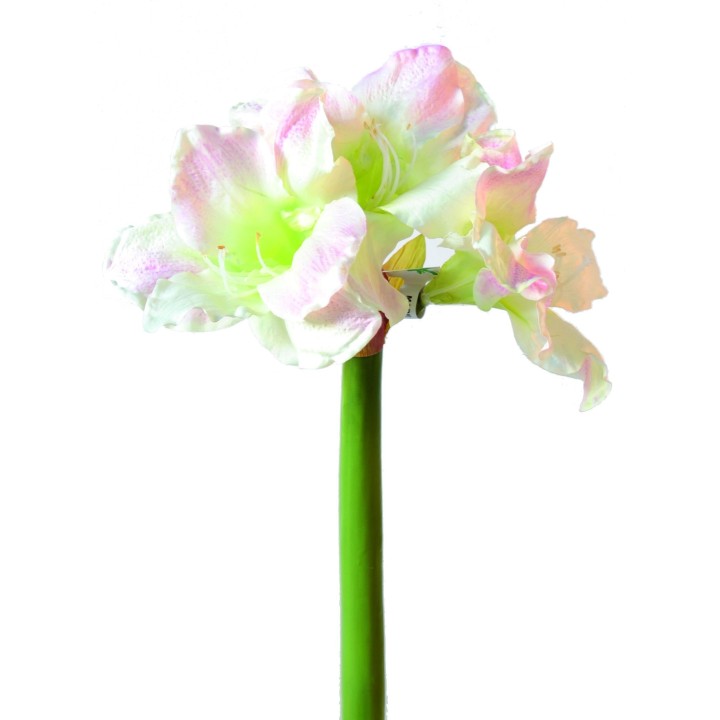 Künstliche Amaryllis, weiß-rosa, ca. 70cm hoch