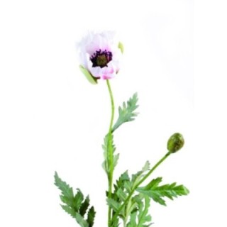 Künstliche Poppy-Blume, weiß, ca. 66cm hoch