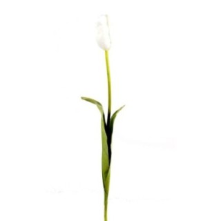 Künstliche Tulpe, weiß, ca. 79cm hoch - Pflegeleicht!