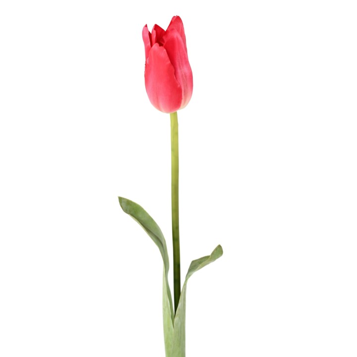 Künstliche Tulpe, rot, ca. 79cm hoch – Pflegeleicht!