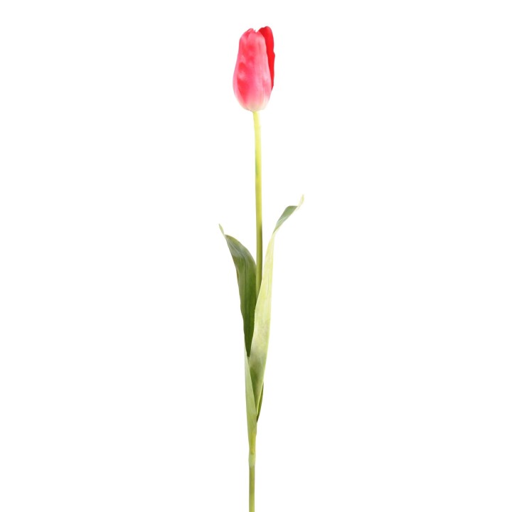 Künstliche Tulpe, pink, ca. 79cm hoch - Pflegeleicht!