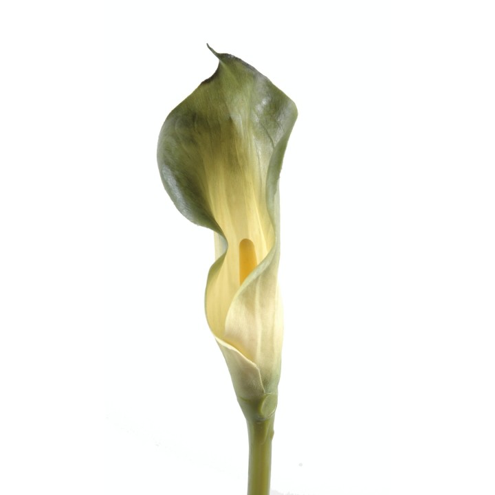 Künstliche Calla-Lilie, grün, ca. 90cm hoch
