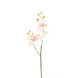 Künstliche Phalaenopsis, hellrosa, ca. 70cm hoch