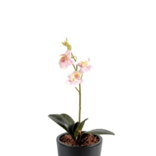 Künstliche Phalaenopsis Orchidee, ca 40cm, pink