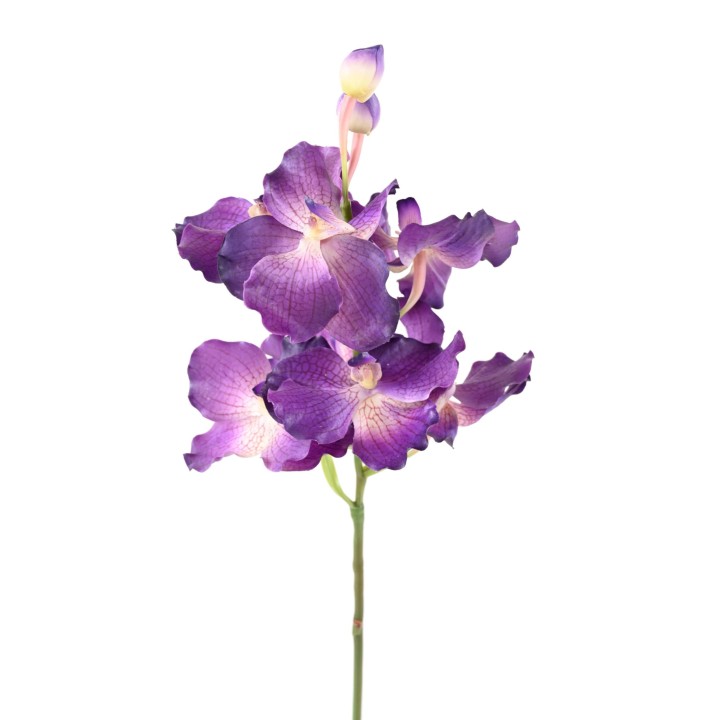 Künstliche Vanda Orchidee, lila, ca. 70cm hoch