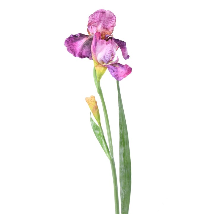 Künstliche Iris, lila, ca. 70cm hoch - Pflegeleicht!