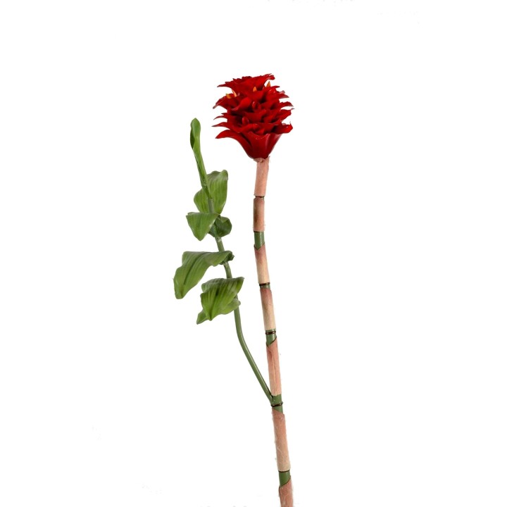 Künstliche Ingwerblume, rot, ca. 70cm hoch