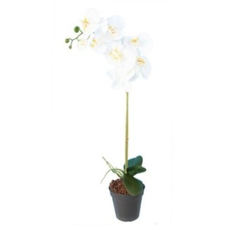 Künstliche Phalaenopsis-Orchidee, ca 76cm, weiss