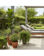 Outdoor Kunstpflanzen