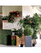 Künstliche Pflanzen