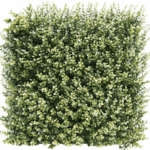 Kunsthecken-Paneel | Buxus beige 50x50 cm UV – Bild 3