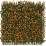 Kunsthecken-Paneel | Buxus orange 50x50 cm UV – Bild 3