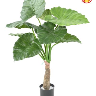 alocasia calidora fr fire resistant scaled