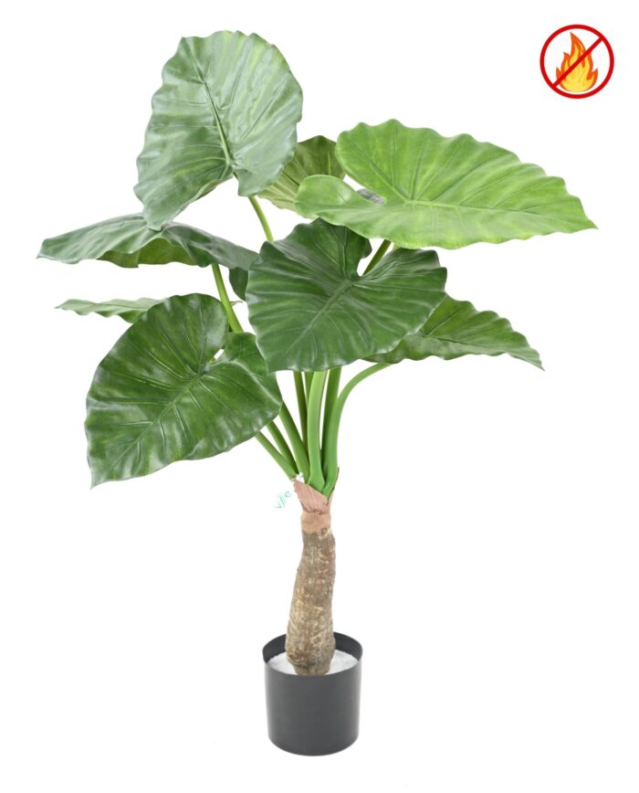 alocasia calidora fr fire resistant scaled