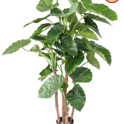 alocasia calidora tb fr fire resistant scaled