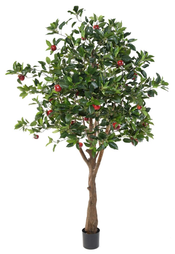apple 1 scaled
