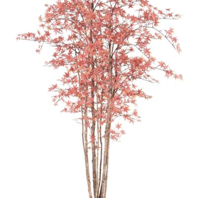 aralia pe 200 210 uv scaled