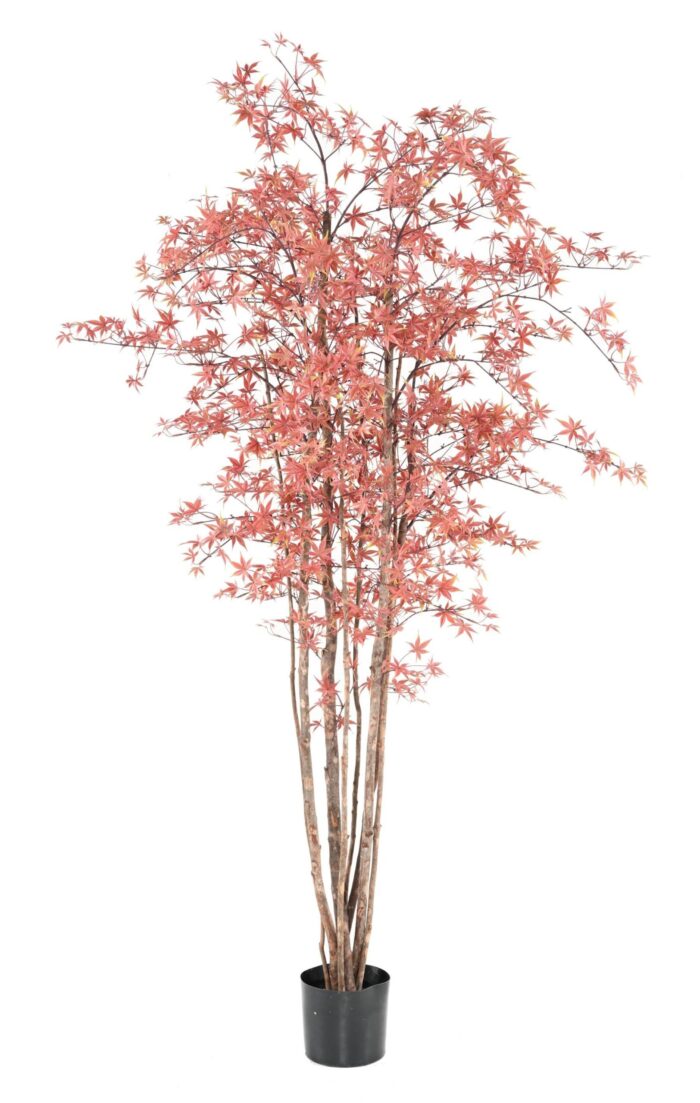 aralia pe 200 210 uv scaled