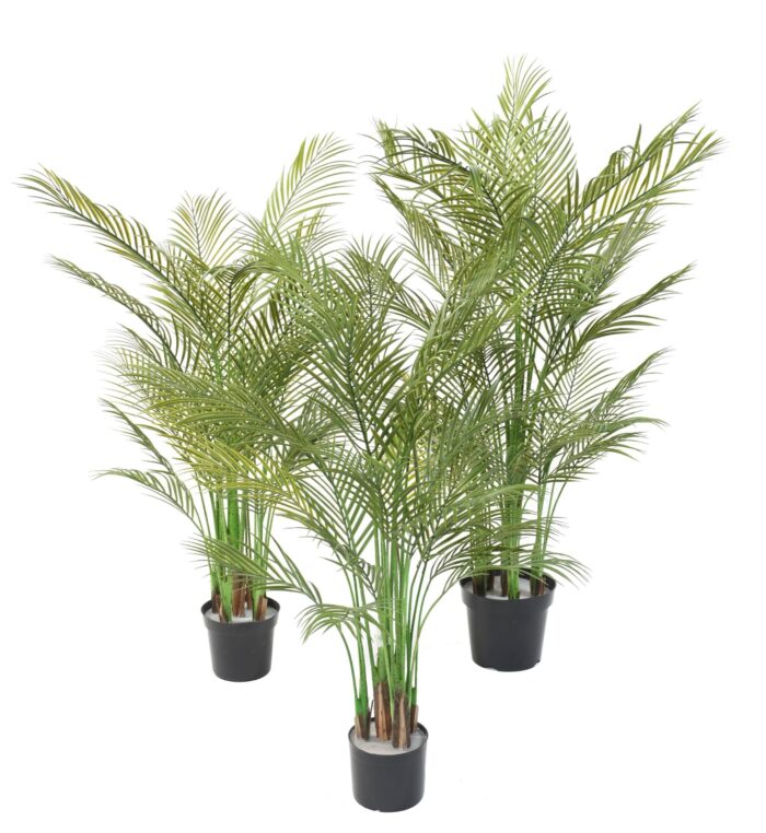 areca multi tree 1 scaled