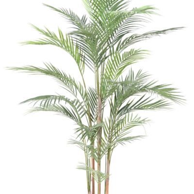 areca plast scaled