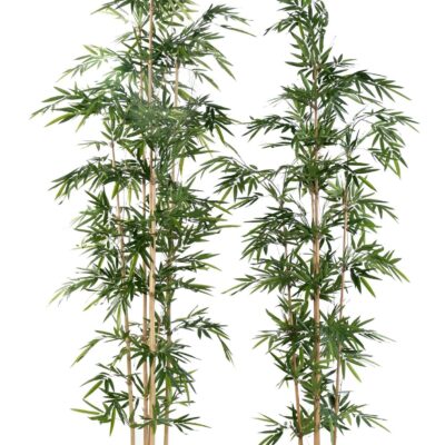 bamboo assymetrical scaled