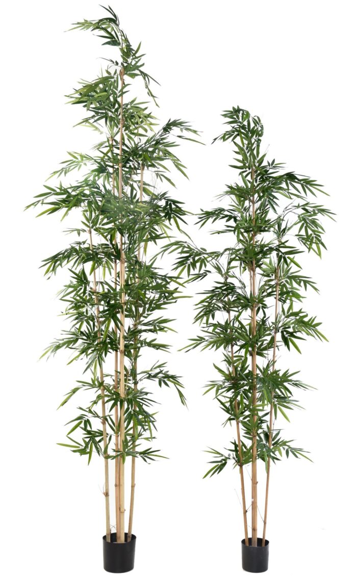 bamboo assymetrical scaled