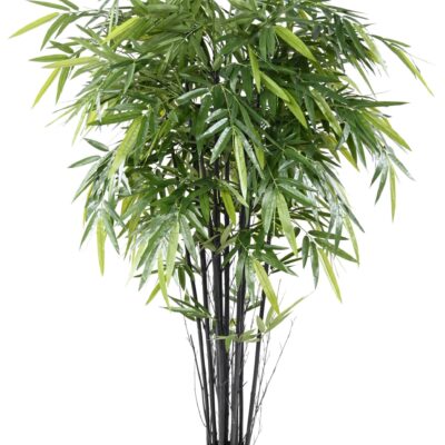 bamboo black natural 1 scaled