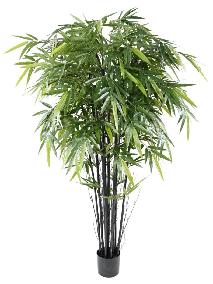 bamboo black natural 3 scaled