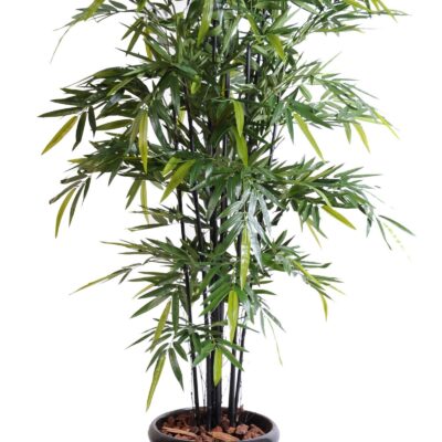 bamboo black natural nc 1 scaled