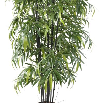 bamboo black natural nc scaled