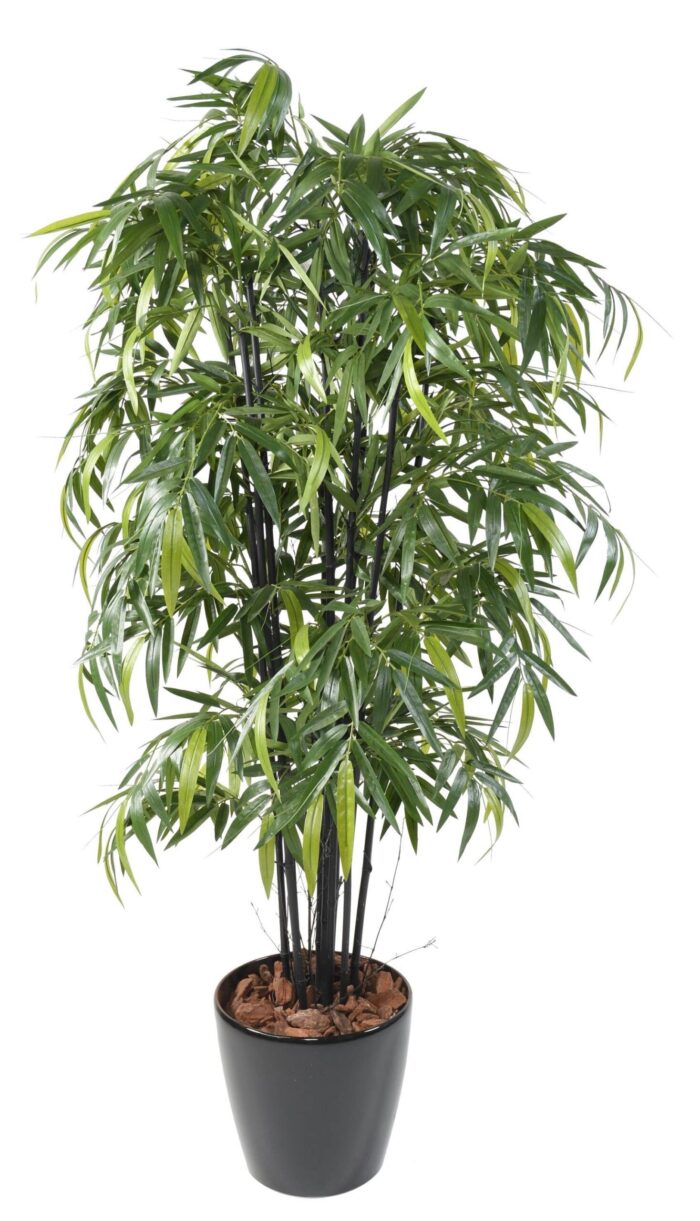 bamboo black natural nc scaled