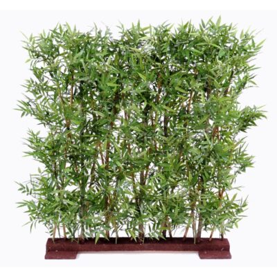 bamboo dense hedge oriental