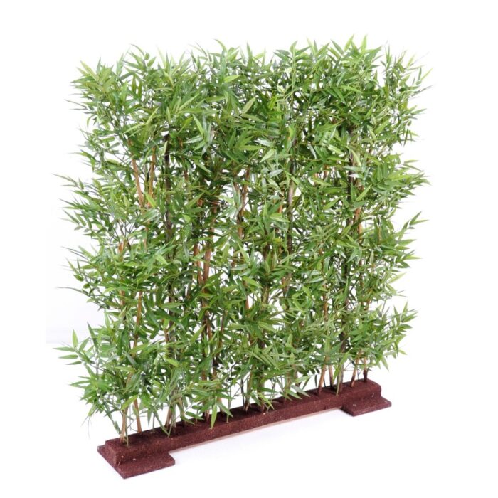 bamboo dense hedge oriental 1 3