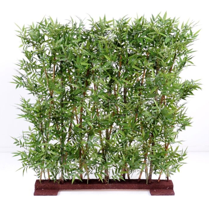 bamboo dense hedge oriental
