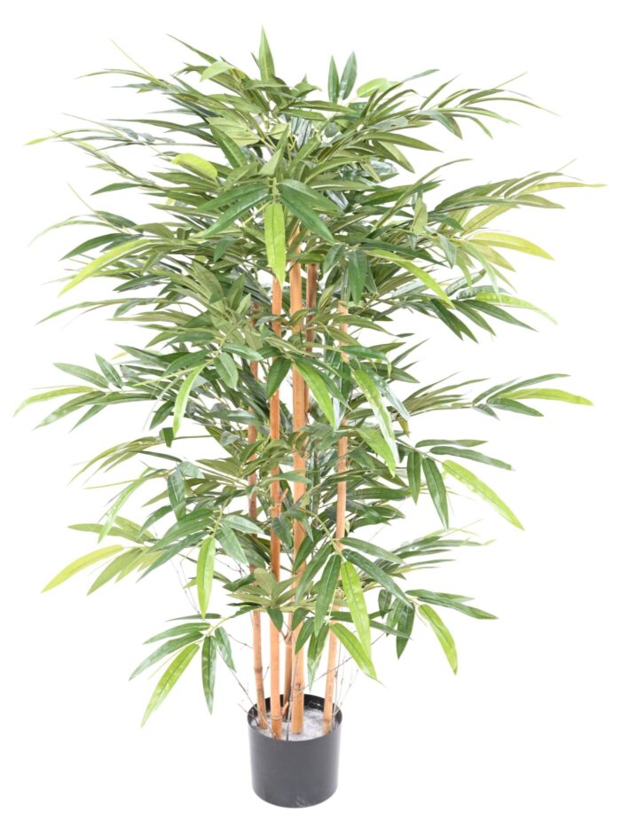 bamboo eco 3 145 cm scaled