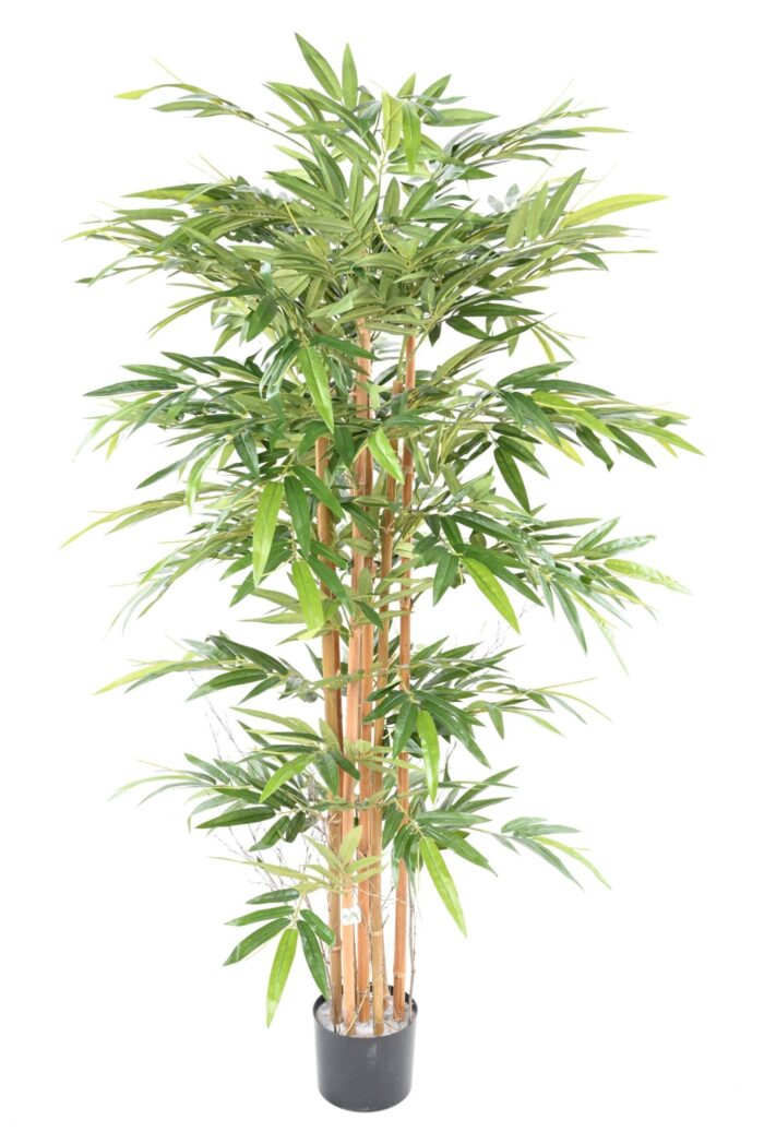 bamboo eco 3 170 cm scaled