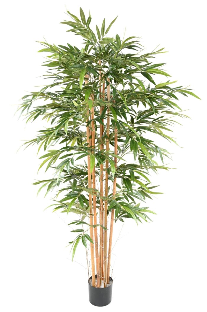 bamboo eco 3 200 cm scaled