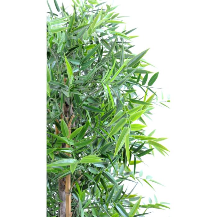 bamboo japanese plast dense hedge uv base 90 4