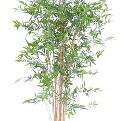 bamboo japanese plast uv 3