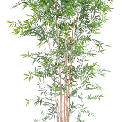 bamboo japanese plast uv 4