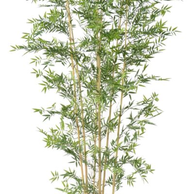 bamboo japanese plast uv 7 scaled