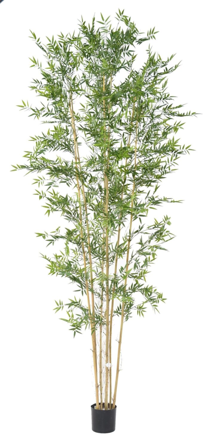bamboo japanese plast uv 7 scaled
