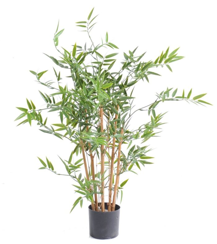 bamboo japanese plast uv