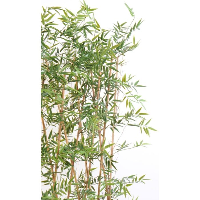 bamboo japanese plast uv hedge 2