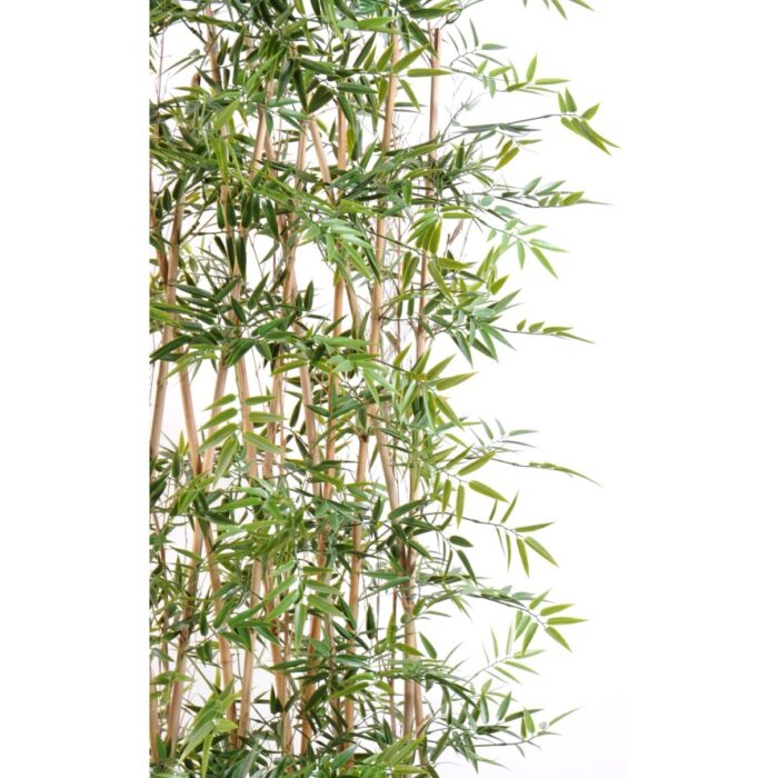 bamboo japanese plast uv hedge 6