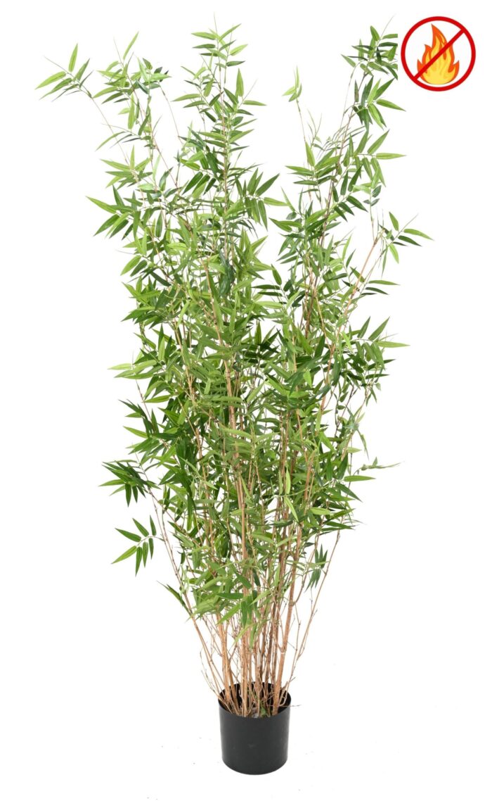 bamboo multitree oriental fr fire resistant scaled
