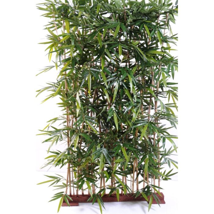 bamboo new hedge 1